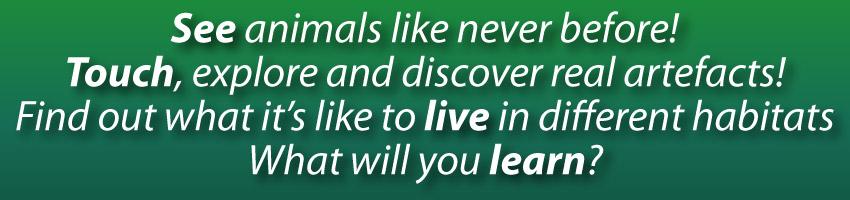 White text on a green background saying see animals like never before! Touch, explore and discover real artefacts! Find out what it's like to live in different habitats. What will you learn?