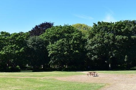 Pickering Park