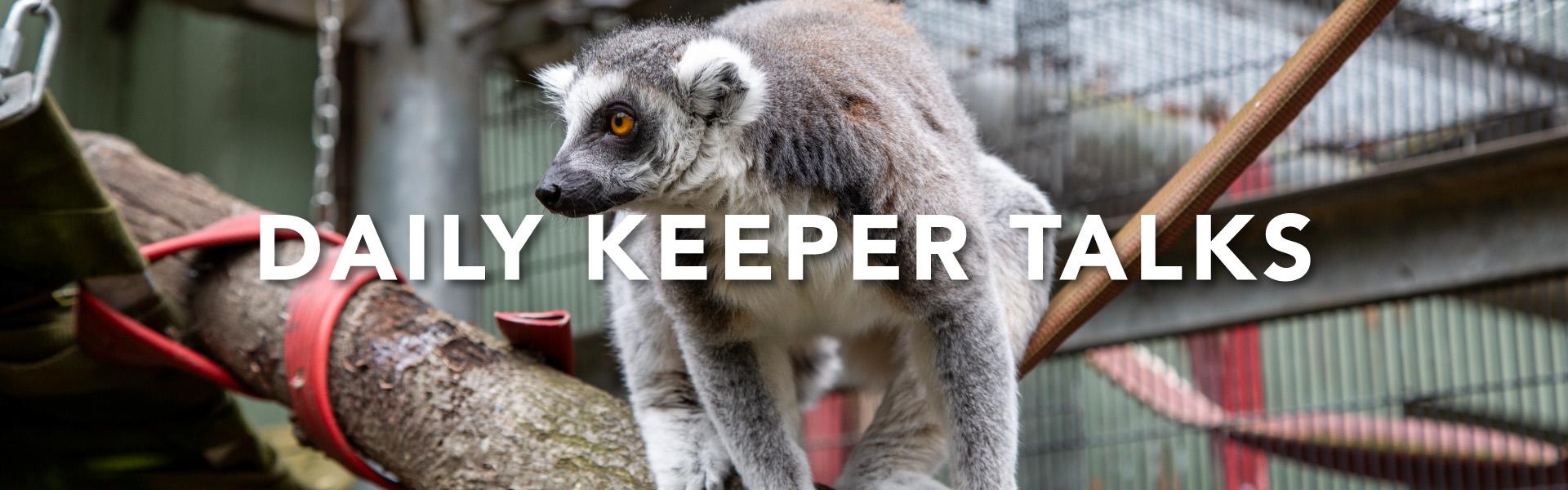 zoo keeper talks