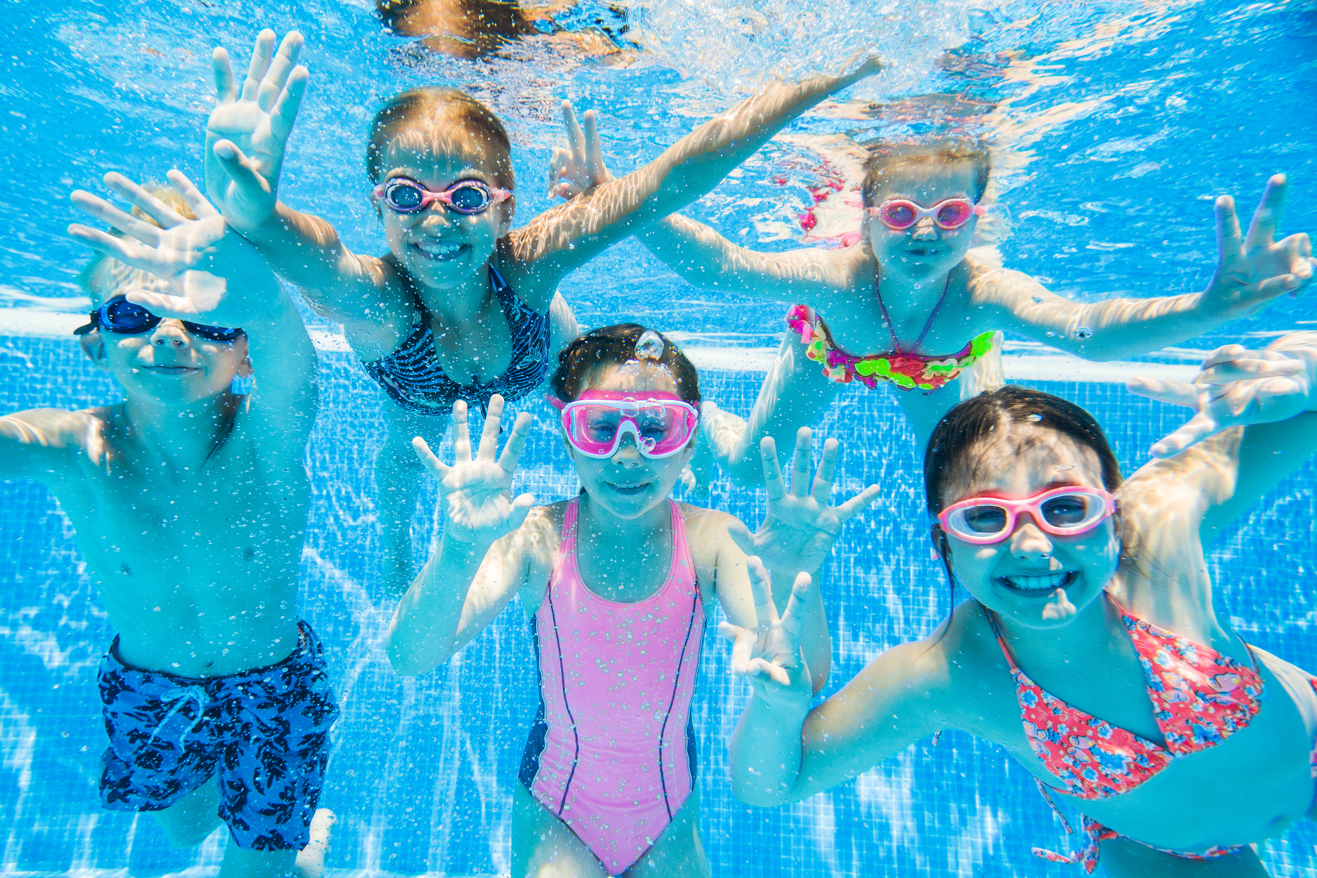 5 children swimming under water in a swimming pools